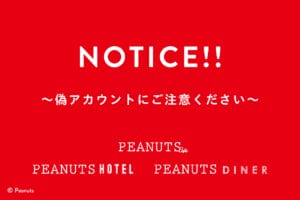 インスタグラムの偽アカウントについて